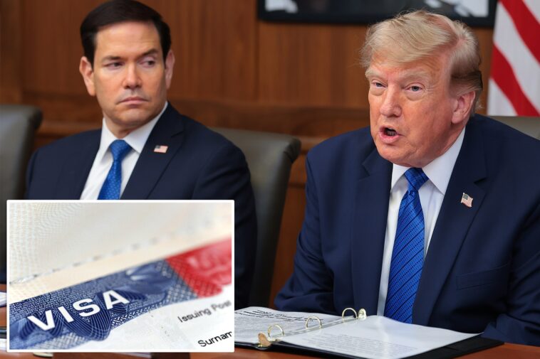 trump-admin-to-target-200,000-foreigners-in-largest-mass-visa-revocation-ever:-report 