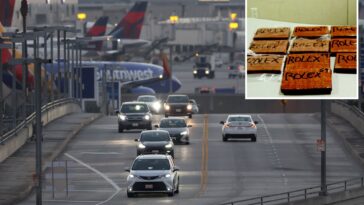 lax-worker-and-pal-busted-in-airport-bathroom-with-24-lbs-of-fentanyl-set-for-flight:-feds