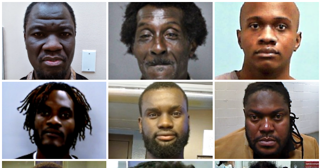 ice-deports-haitian-illegal-aliens-convicted-of-child-sex-crimes,-beating-women,-human-smuggling