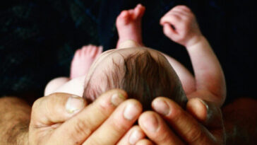 first-safe-haven-baby-box-in-georgia-to-open-soon