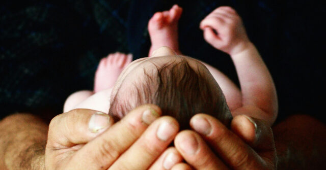 first-safe-haven-baby-box-in-georgia-to-open-soon