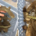 mysterious-3,000-year-old-hoard-with-violently-smashed-sword-emerges-during-construction-project