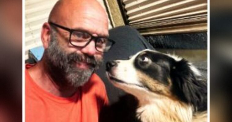 the-dog-that-carried-a-suffering-veteran-through-trauma-is-injured-—-saving-his-service-dog-is-the-one-thing-he-needs-today-–-how-you-can-help