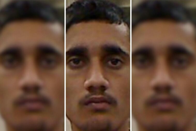 exclusive:-illegal-immigrant-trucker-killed-pedestrian-while-wearing-ice-gps-tracker