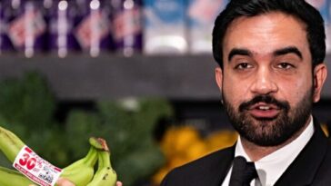 immigrant-grocery-store-owners-sue-ny-mayor-mamdani-over-socialist-grocery-scheme