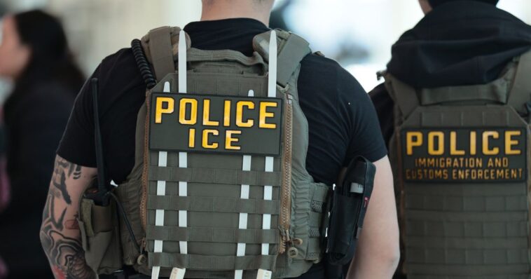 ice-chief:-agents-being-stalked-and-harassed-in-los-angeles-–-lapd-bound-by-‘sanctuary-policies’-doing-nothing