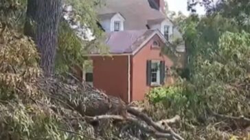 the-left-cries-‘racism’-as-residents-in-majority-black-city-have-been-left-without-power-for-two-weeks-–-then-community-notes-reveals-the-damning-truth