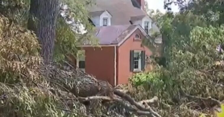 the-left-cries-‘racism’-as-residents-in-majority-black-city-have-been-left-without-power-for-two-weeks-–-then-community-notes-reveals-the-damning-truth