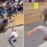 2-dead-and-11-injured-in-horrific-scenes-at-mexican-running-of-the-bulls-festival