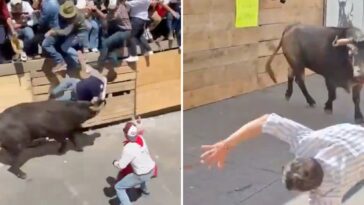 2-dead-and-11-injured-in-horrific-scenes-at-mexican-running-of-the-bulls-festival