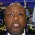 tim-scott-on-dsa:-‘they’re-coming-after-our-culture-—-that-is-what-makes-them-dangerous’