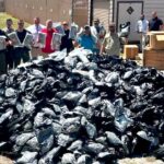 georgia-sheriff-seizes-1,800-pounds-of-suspected-black-market-marijuana-shipped-from-california