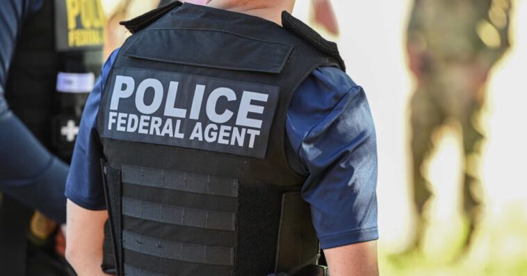 ice-chief:-agents-being-stalked-and-harassed-in-los-angeles-–-lapd-bound-by-‘sanctuary-policies’-doing-nothing