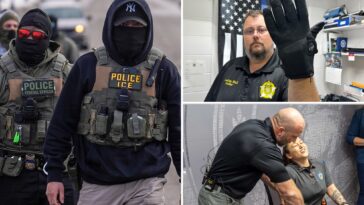 california-lawmaker’s-unprecedented-attack-on-ice-in-move-to-ban-new-tech