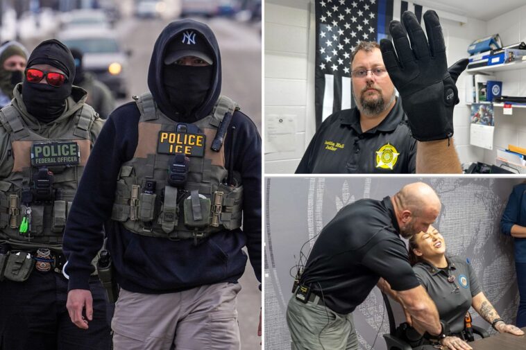 california-lawmaker’s-unprecedented-attack-on-ice-in-move-to-ban-new-tech