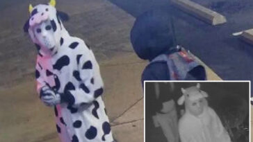 burglar-dressed-in-cow-onesie-steals-vapes-from-tennessee-smoke-shop
