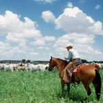 affordable-beef-starts-with-american-ranchers