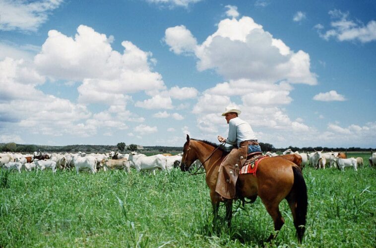 affordable-beef-starts-with-american-ranchers