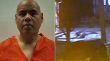 ice-agent-charged-with-shooting-in-minnesota-could-be-released-from-texas-jail