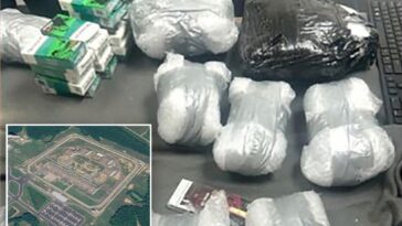 attempted-drone-incursion-at-virginia-prison-leads-to-$324k-contraband-haul-with-meth,-17-cellphones