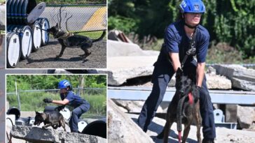 nypd-canines-with-touching-9/11-tie-train-for-new-elite-mission