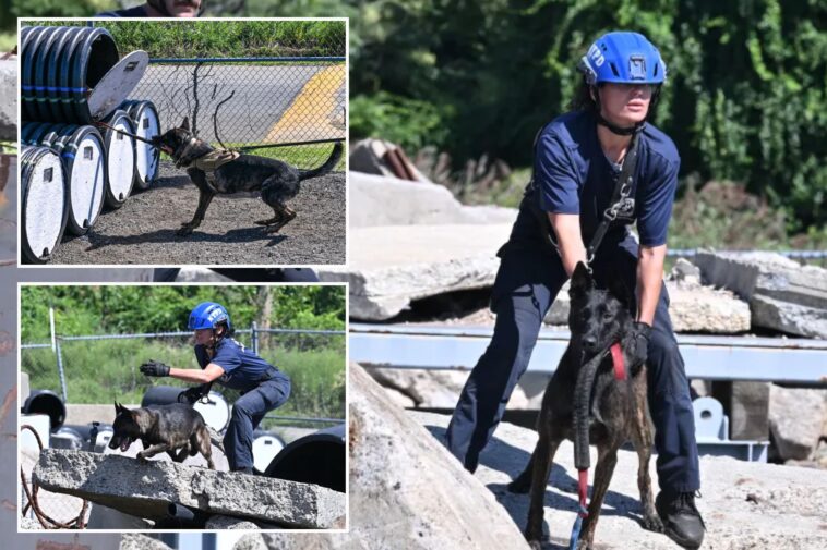 nypd-canines-with-touching-9/11-tie-train-for-new-elite-mission