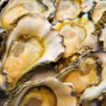 australian-police-hunt-mollusc-marauders-who-stole-400,000+-oysters