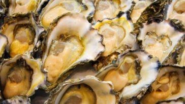 australian-police-hunt-mollusc-marauders-who-stole-400,000+-oysters