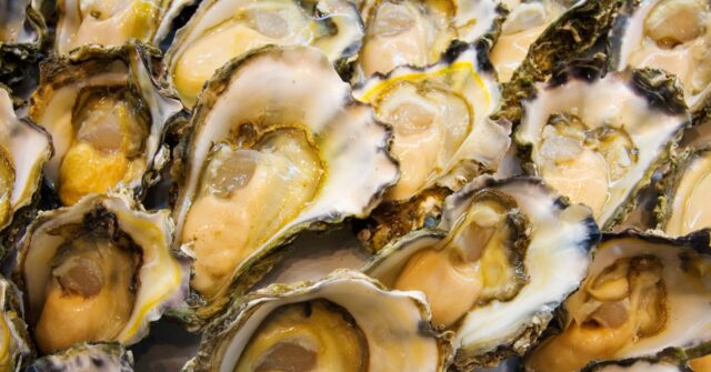 australian-police-hunt-mollusc-marauders-who-stole-400,000+-oysters