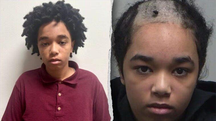 teen-planned-middle-school-massacre-before-making-deadly-‘last-minute-choice’-to-kill-mom:-official