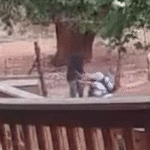 ‘never-give-up-a-fight’:-nyc-mom-shows-her-kids-5,-7-the-scars-from-neck-slash-attack-as-lesson-in-survival