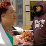 notorious-bail-hating-nyc-judge-releases-gunman-charged-with-shooting-helpless-service-dog