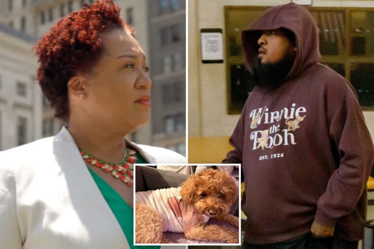 notorious-bail-hating-nyc-judge-releases-gunman-charged-with-shooting-helpless-service-dog