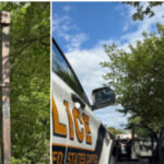 nolte:-california-man-arrested-for-parking-guillotine-near-us.-supreme-court