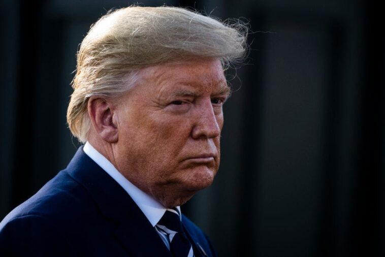 ‘you-have-to-take-it-out’:-trump-vows-to-ban-sharia-law