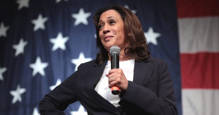 top-iowa-democrats-urge-kamala-harris-to-stay-away-from-their-state-ahead-of-midterms