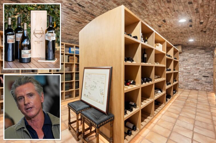 gavin-newsom-claims-he-‘didn’t-even-know’-about-5,000-bottle-wine-cellar-at-his-$7.5m-home