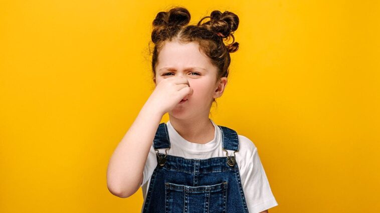 internet-reacts-to-georgia-schoolteacher’s-groundbreaking-invention,-the-‘fart-corner’