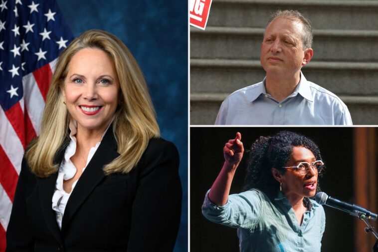 ny-afl-cio-snubs-mamdani-backed-socialist-daraliza-avila-chevalier,-democrats-lander-and-gillen-in-house-races