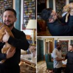 zelensky-cuddles-adorable-puppy-given-to-him-by-former-american-boxer-terence-crawford