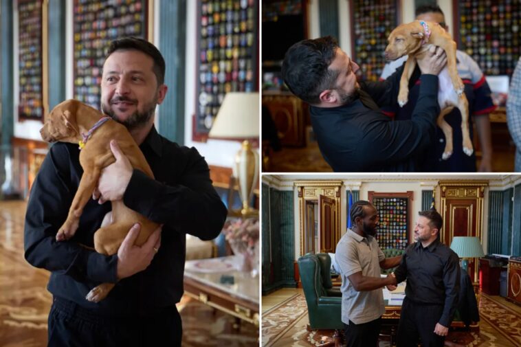 zelensky-cuddles-adorable-puppy-given-to-him-by-former-american-boxer-terence-crawford