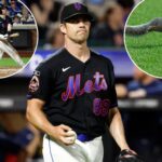 journeyman-starter,-lifeless-bats-fail-mets-after-adventurous-squirrels-steal-show-in-loss-to-brewers