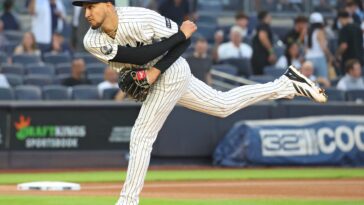 yankees-prospect-elmer-rodriguez-shows-off-‘electric-arm’-in-best-outing-of-young-career