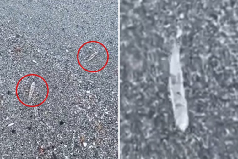 mysterious-clear-‘jumping-sticks’-spotted-in-waters-along-florida’s-space-coast-baffle-beachgoers