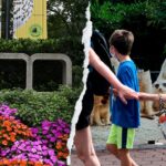 gender-equity,-dei,-climate-action:-how-the-smithsonian’s-woke-push-‘infiltrated’-america’s-most-beloved-zoo