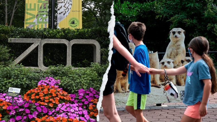 gender-equity,-dei,-climate-action:-how-the-smithsonian’s-woke-push-‘infiltrated’-america’s-most-beloved-zoo