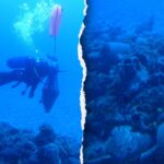 divers-uncover-mysterious-shipwreck-loaded-with-ancient-cargo-lost-for-2,400-years