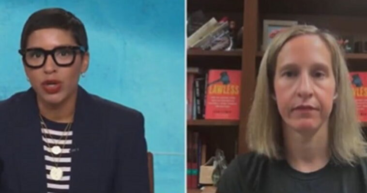 msnow-pushes-tired-liberal-talking-point-that-second-amendment-only-applies-to-guns-available-when-it-was-written-(video)