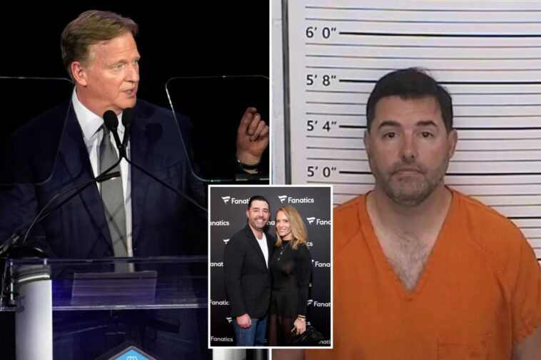 nfl-commissioner-roger-goodell-gives-update-on-league-status-of-49ers-owner-jed-york