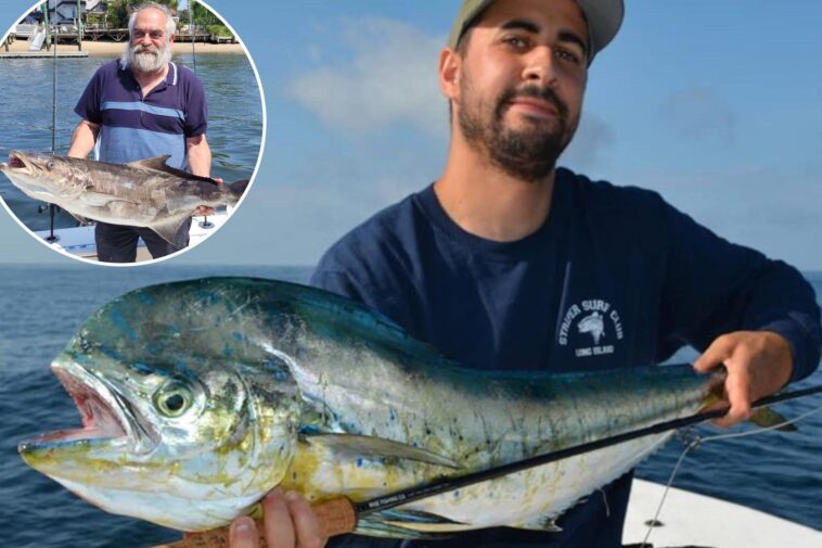 mahi-mahi-invade-nyc-as-waters-warm-—-and-tri-state-fishermen-are-racing-for-the-boats-and-catching-their-dinners